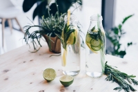 Online - Fasten - Detoxkurs